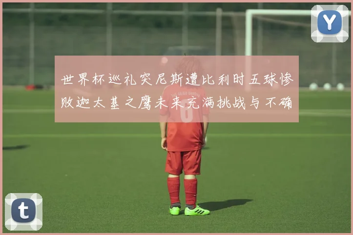 世界杯巡礼突尼斯遭比利时五球惨败迦太基之鹰未来充满挑战与不确定性