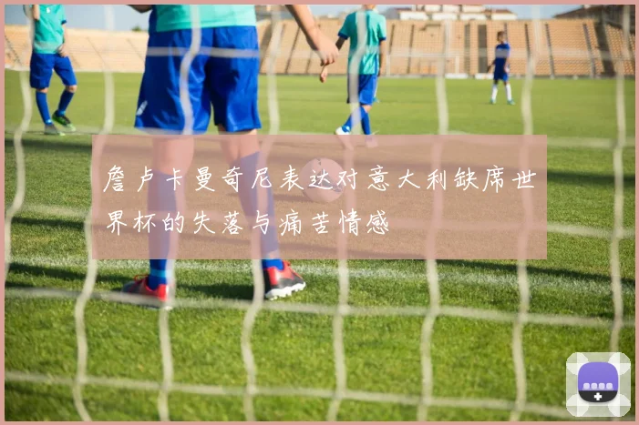 詹卢卡曼奇尼表达对意大利缺席世界杯的失落与痛苦情感