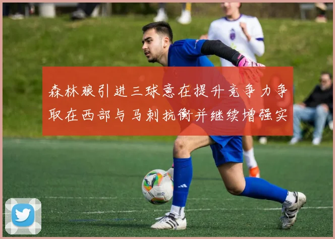 森林狼引进三球意在提升竞争力争取在西部与马刺抗衡并继续增强实力