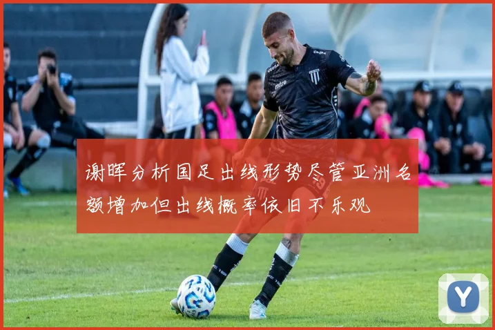 谢晖分析国足出线形势尽管亚洲名额增加但出线概率依旧不乐观